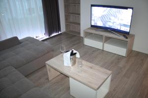 TV a/nebo společenská místnost v ubytování Olive Charm