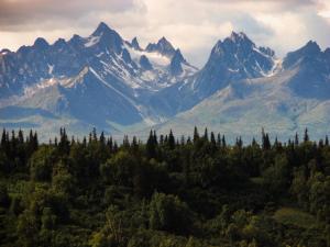 Gallery image of Seward's Guest House in Seward