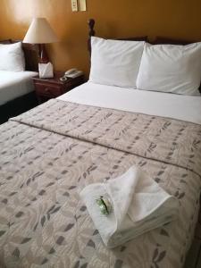 a hotel room with a bed with a towel on it at Hotel Dinastía Colima in Colima