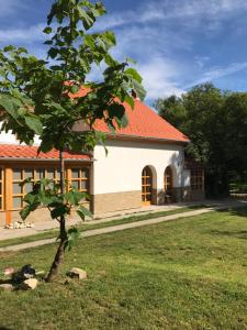 Vonkajšia záhrada v ubytovaní Fonfa Liget