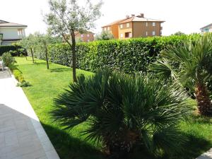 a garden with palm trees and a hedge at B&B Villa Oasa 3 in Rovinjsko Selo