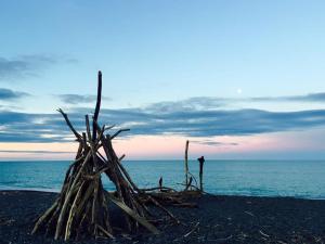 einen Stapel Stöcke an einem Strand in der Nähe des Ozeans in der Unterkunft Marineland Motel in Napier