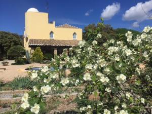 ein Gebäude mit weißen Blumen vor einem Gebäude in der Unterkunft Villa Rural Paquete in Pozo Alcón