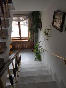 a hallway with stairs with potted plants and a window at Hotel Mishel in Kocherinovo