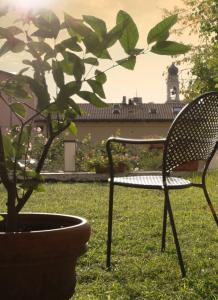 Zahrada ubytování Hotel Belvedere