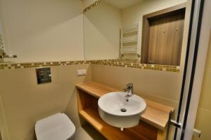 a bathroom with a sink and a toilet and a mirror at DW Koral in Niechorze +19 photos