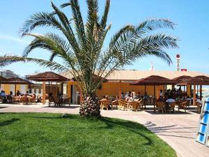 a palm tree sitting in front of a restaurant at Hotel Annarita-mezza pensione plus- spiaggia inclusa in Rimini