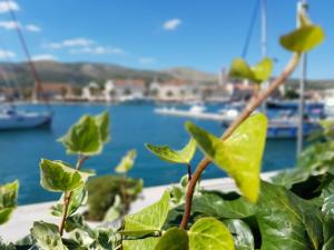 a plant with a view of a harbor at Room Cvita in Trogir