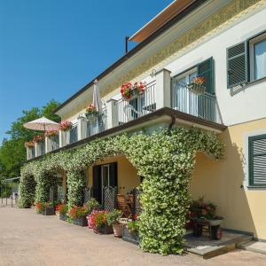 拉斯佩齊亞的住宿－格里物里維迪蒙塔爾巴諾酒店，常春藤覆盖的花卉和植物