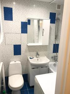 モスクワにあるApartment G-Kvartal at Rechnoyの青と白のバスルーム(トイレ、シンク付)