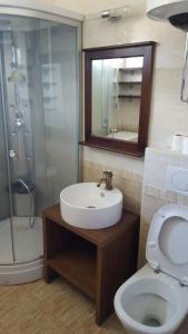 Koupelna v ubytování Apartments Spas