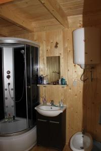 a bathroom with a sink and a shower and a toilet at Domek "U Magdy" in Sasino