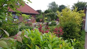 Eulennest في تاب: حديقة بها زهور ونباتات أمام المنزل