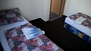 Posteľ alebo postele v izbe v ubytovaní Penzion U Hladů