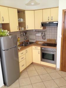 Kuchyň nebo kuchyňský kout v ubytování Apartments Pilić