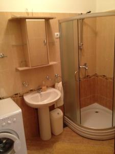 Koupelna v ubytování Apartments Pilić
