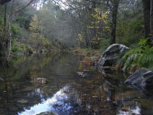 Gallery image of Sabores Hurdanos in Las Mestas