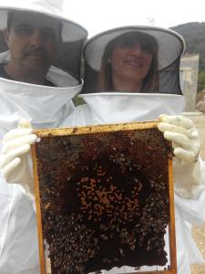 Gallery image of Sabores Hurdanos in Las Mestas