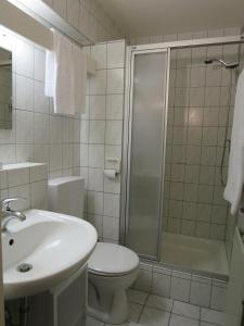 een badkamer met een douche, een toilet en een wastafel bij Golf Hotel Mergelhof in Gemmenich