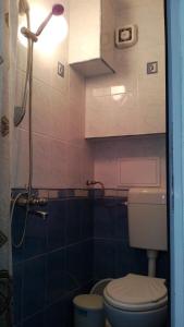 ツァレヴォにあるApartment 4のバスルーム(トイレ、シャワー付)