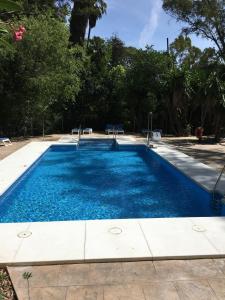 uma piscina com água azul num quintal em Hotel del Balneario em Tolox