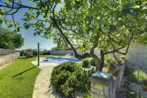 um jardim com uma árvore e uma piscina em Villa Orbanici em Barban