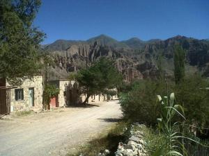 a dirt road with trees and mountains in the background at Alojamiento El Cardon Tilcara in Tilcara