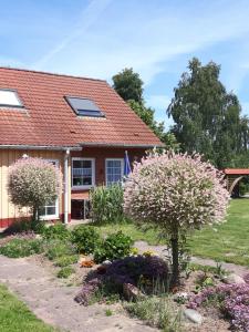 una casa con un giardino con alberi in fiore di Ferienhaushälfte Lütow a Lütow