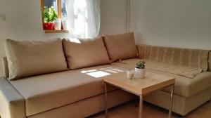 Posezení v ubytování Apartmány Nová Pec