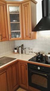 Kuchyň nebo kuchyňský kout v ubytování Apartmány Nová Pec