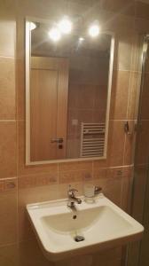 Koupelna v ubytování Apartmány Nová Pec