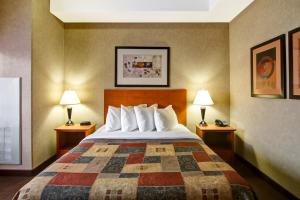 a bed in a hotel room with two lamps at Canalta Hotel Stettler in Stettler +34 photos