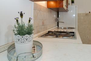 a kitchen counter with a vase with flowers in it at Beach apartment M & B in Poljana +59 photos