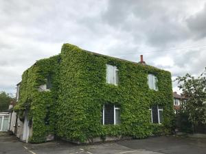 um edifício coberto de hera verde em Tanamara Guest House em Retford