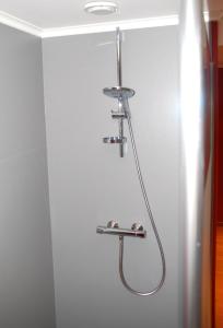 a shower with a shower head on a wall at Les Haies in Solwaster