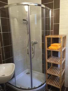 prysznic ze szklanymi drzwiami i umywalką w obiekcie Privatzimmer Weber w mieście Hautzenbichl