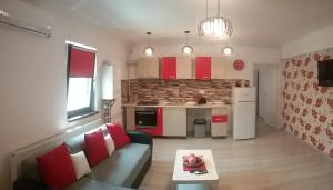 Virtuvė arba virtuvėlė apgyvendinimo įstaigoje Apartament Fundeni Sofia