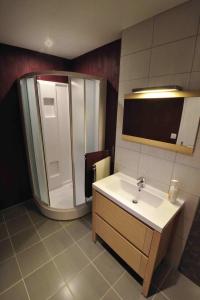 y baño con lavabo y ducha. en Les Chambres d'Eponine, en Saints-Geosmes