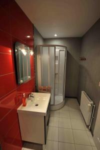 ein Badezimmer mit einem weißen Waschbecken und einer Dusche in der Unterkunft Les Chambres d'Eponine in Saints-Geosmes