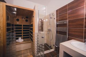 Bilik mandi di Apartmany U Papoušků
