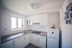 Dapur atau dapur kecil di Apartmany U Papoušků