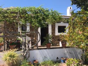 a house with trees and potted plants in front of it at Cortijo Nuevo Alojamiento Rural in Cuevas del Becerro