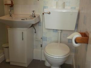 een badkamer met een wit toilet en een wastafel bij Ashfield Guest House in Torquay