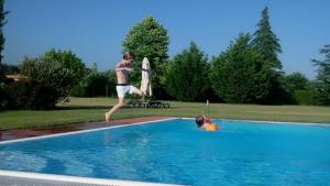 The swimming pool at or close to "encantea" lovely country house