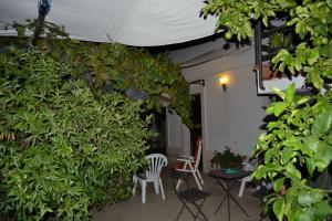 Zahrada ubytování B&B Terra Marique