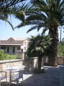 A garden outside Antonio Studios