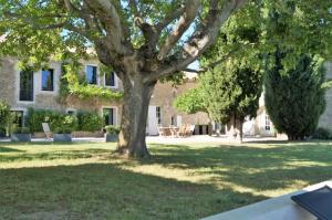 a large tree in the yard of a house at le mas de colongene in Faucon