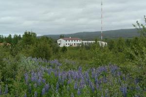 Gallery image of Eidavellir Apartments and Rooms in Egilsstadir