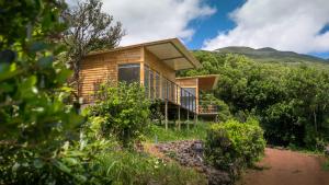 a house on the side of a hill with trees at Intact Farm Resort in Velas