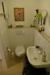uma casa de banho com um WC branco e um lavatório. em Apartment Am Markt 13 em Konz